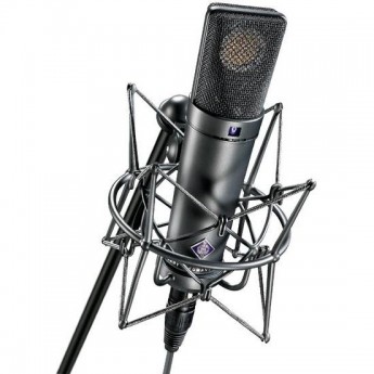 Студийный микрофон NEUMANN U 89 i 12065