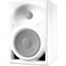 Активные студийные мониторы NEUMANN KH 120 A W 91831