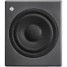 Студийные сабвуферы NEUMANN KH 750 DSP D G 91832